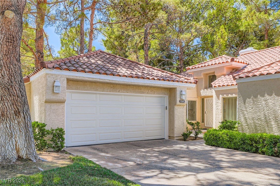 7068 Bright Springs Court Property Photo 1