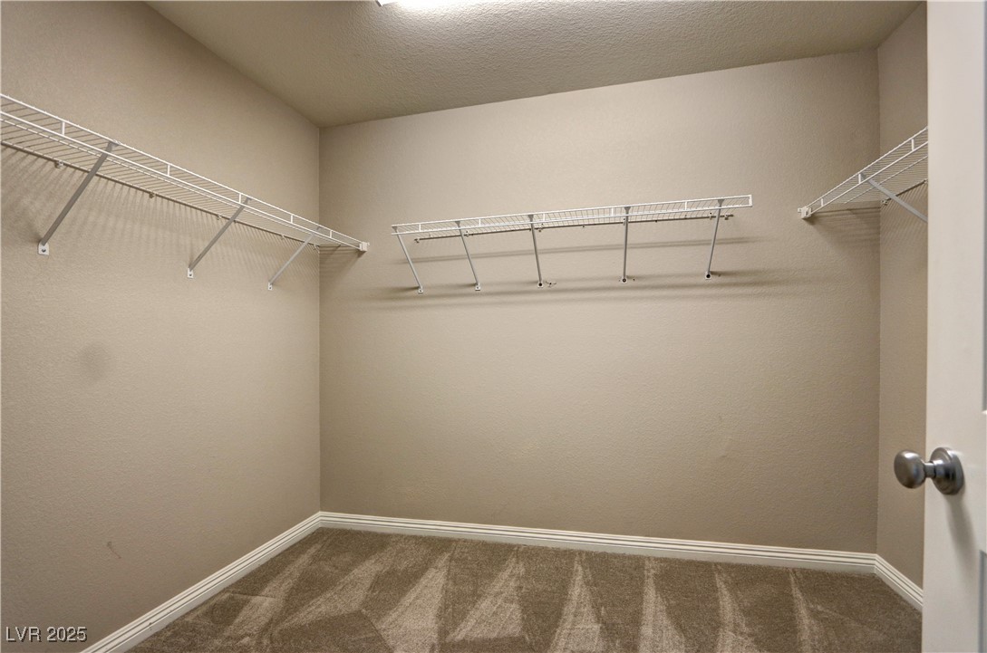 2865 Tanager Hill Street Property Photo 14