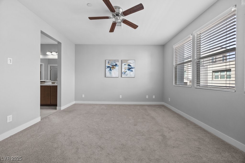 635 Pyrite Will Street Property Photo 19