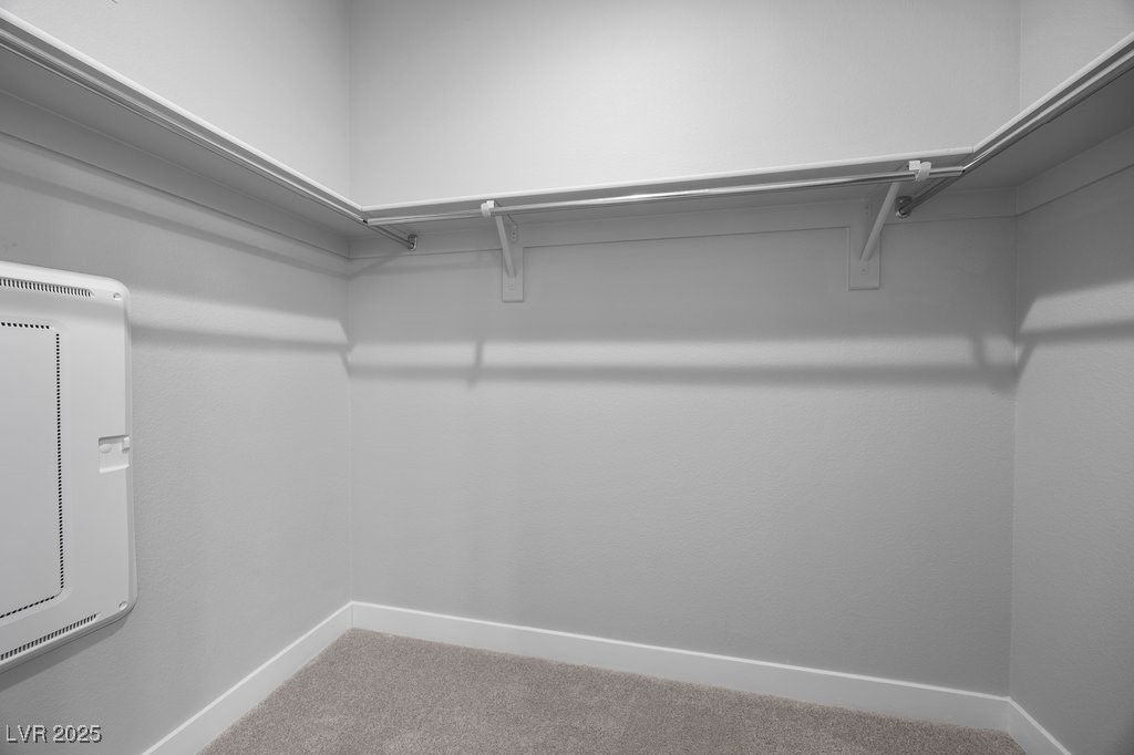 635 Pyrite Will Street Property Photo 29