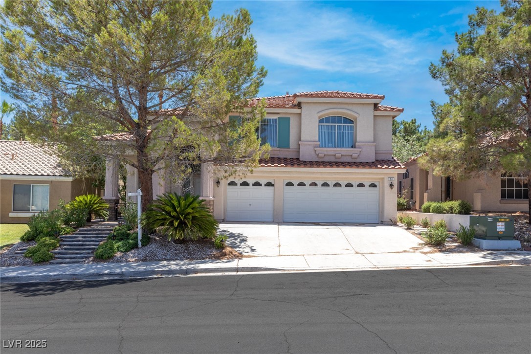 24 Staghorn Street Property Photo