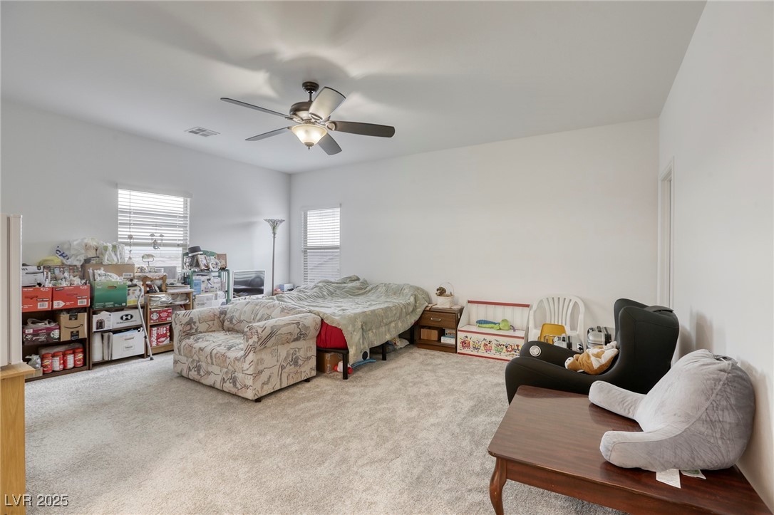 2807 Lindsey Springs Street Property Photo 18