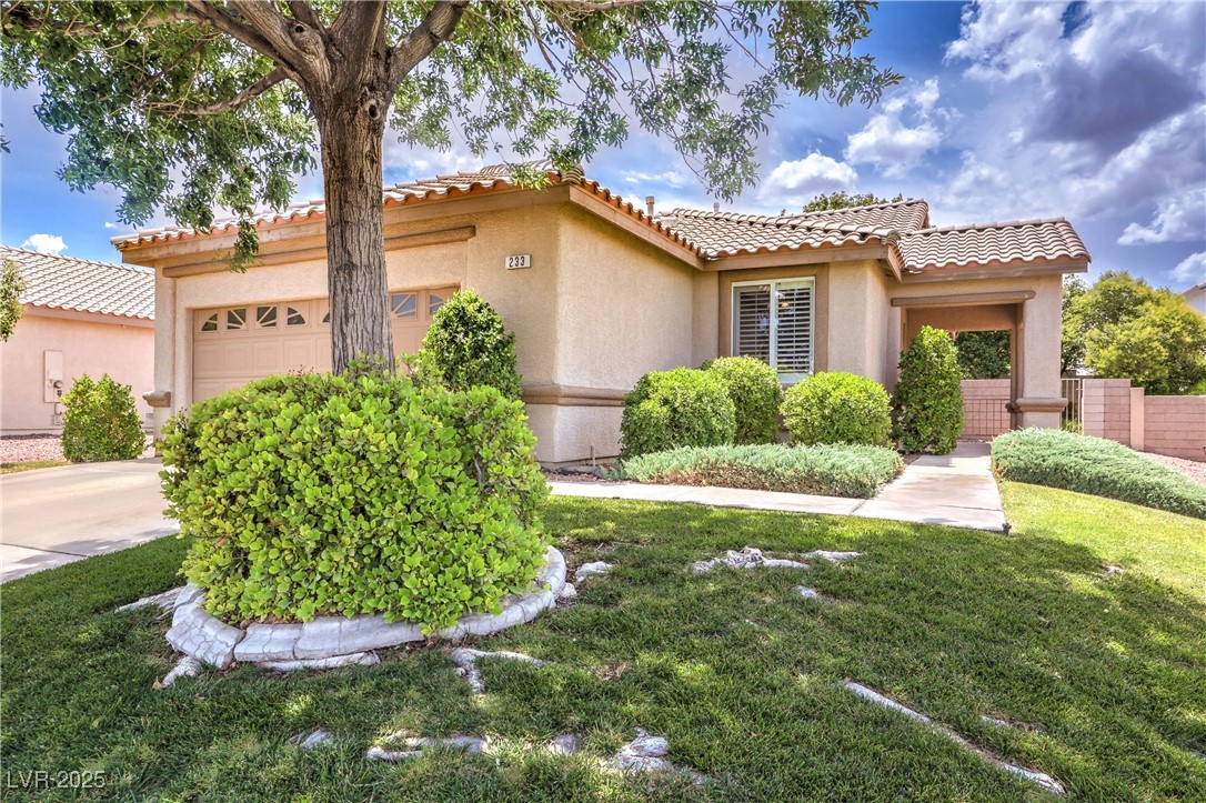 233 Ventana Heights Street Property Photo 4