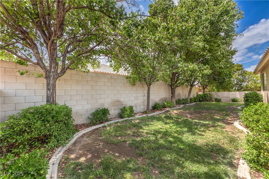 233 Ventana Heights Street Property Photo 27