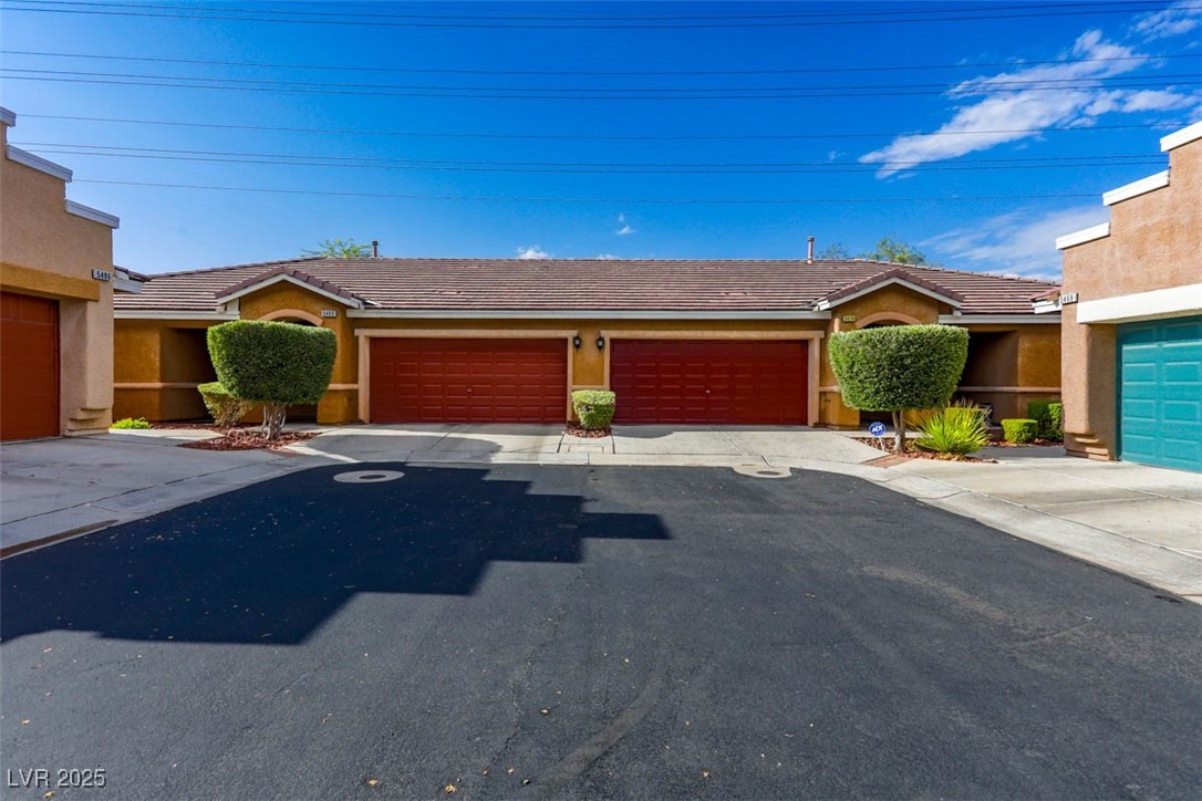 5474 Cholla Cactus Avenue