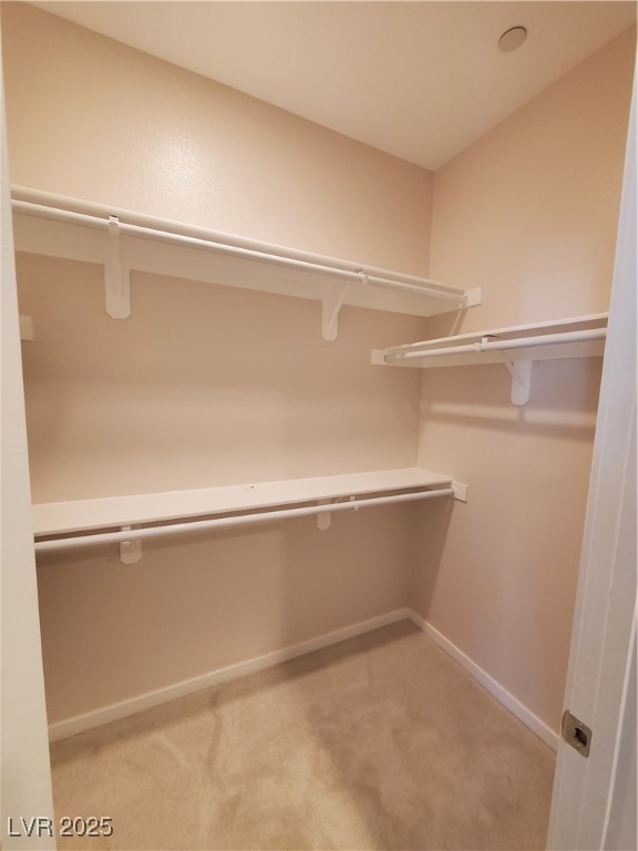 11251 Hidden Peak Avenue 212 Property Photo 48
