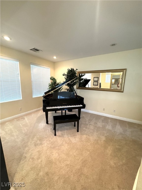 1050 Via Di Olivia Street Property Photo 8
