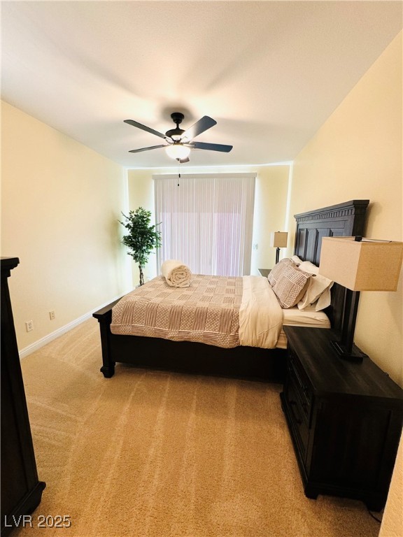 1050 Via Di Olivia Street Property Photo 19