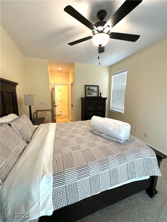 1050 Via Di Olivia Street Property Photo 20