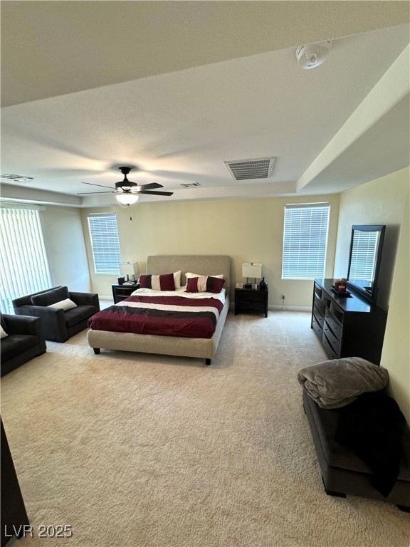 1050 Via Di Olivia Street Property Photo 30