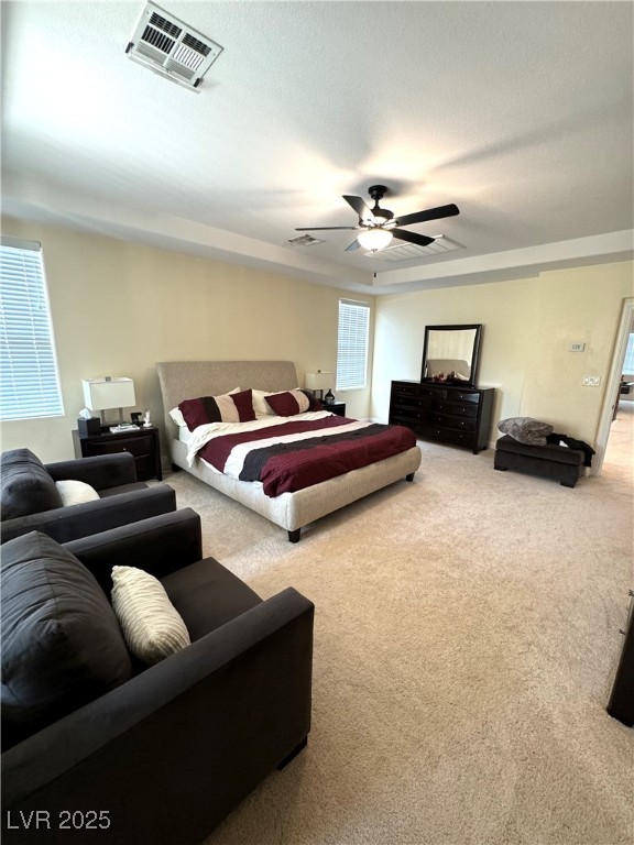 1050 Via Di Olivia Street Property Photo 37
