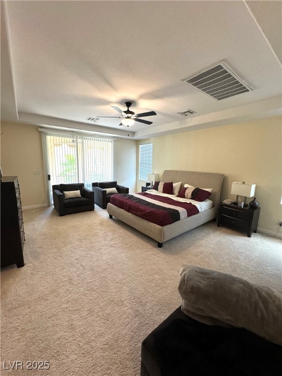 1050 Via Di Olivia Street Property Photo 38