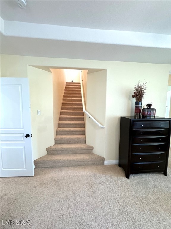 1050 Via Di Olivia Street Property Photo 39