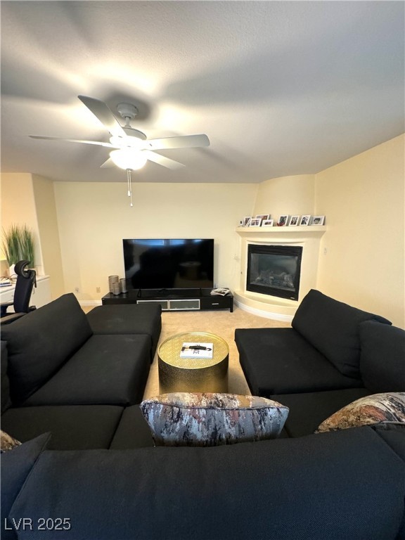 1050 Via Di Olivia Street Property Photo 40