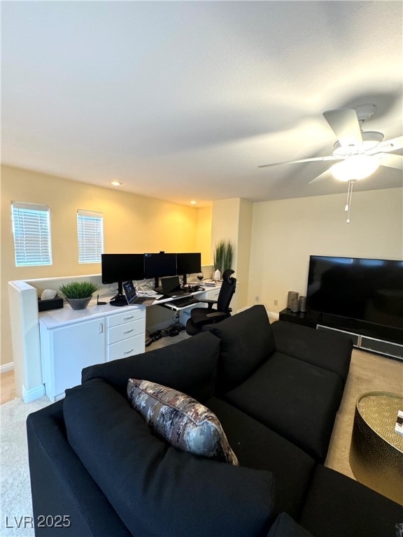 1050 Via Di Olivia Street Property Photo 41