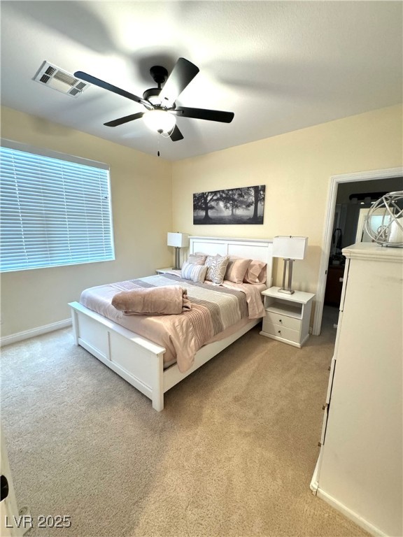 1050 Via Di Olivia Street Property Photo 53