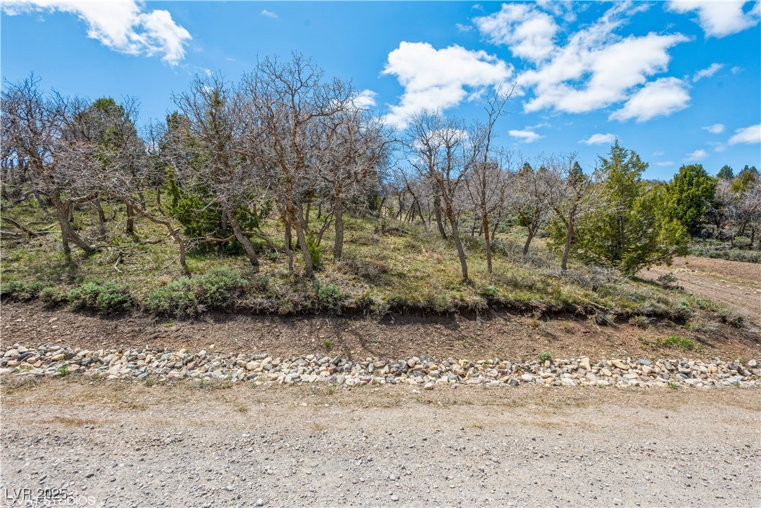 2526 North Oak Ridge Road Property Photo 18