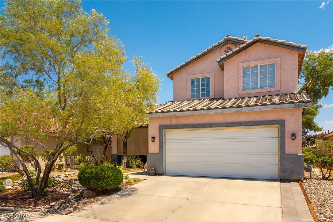 3650 Russian Olive Street