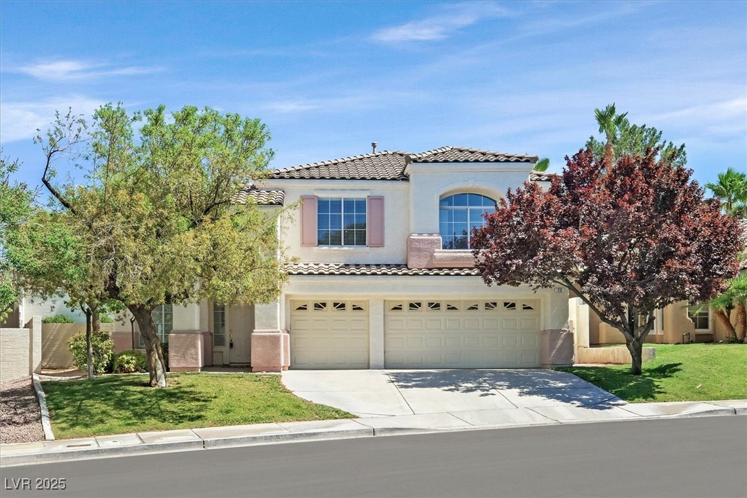 20 Staghorn Street Property Photo 1
