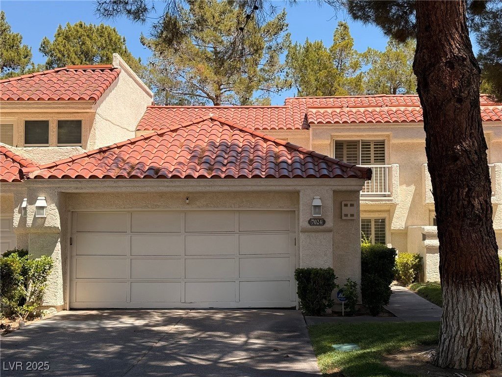 7024 Bright Springs Court Property Photo 1