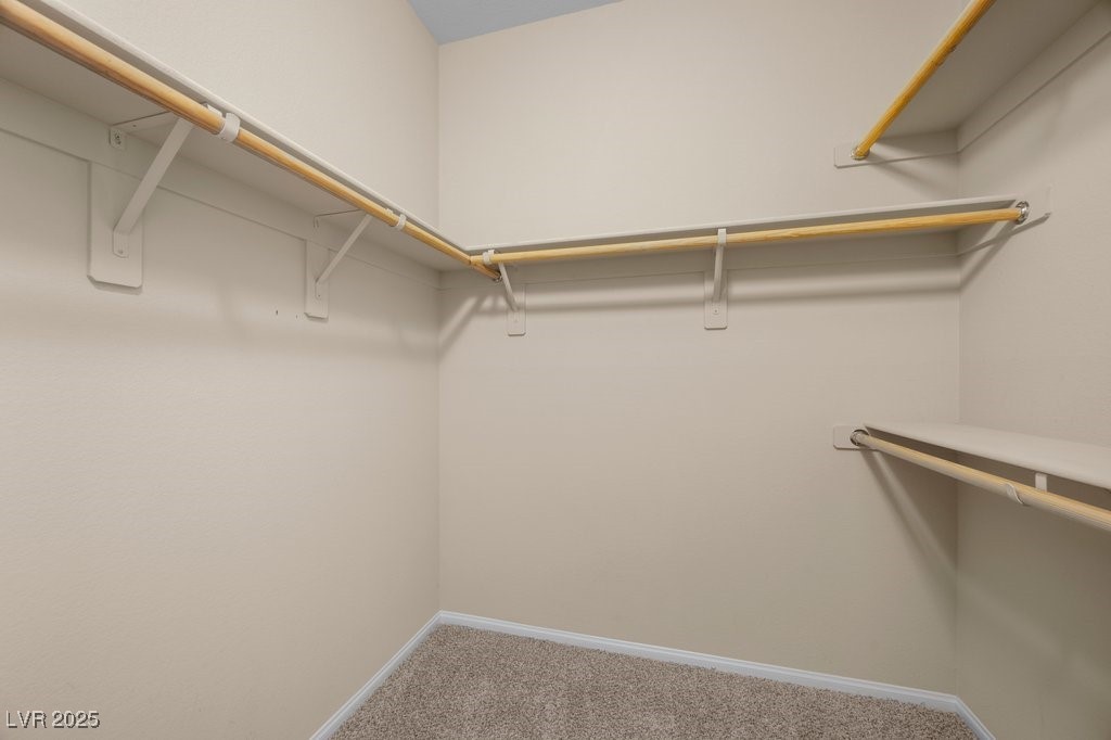 9127 Island Wolf Avenue Property Photo 28