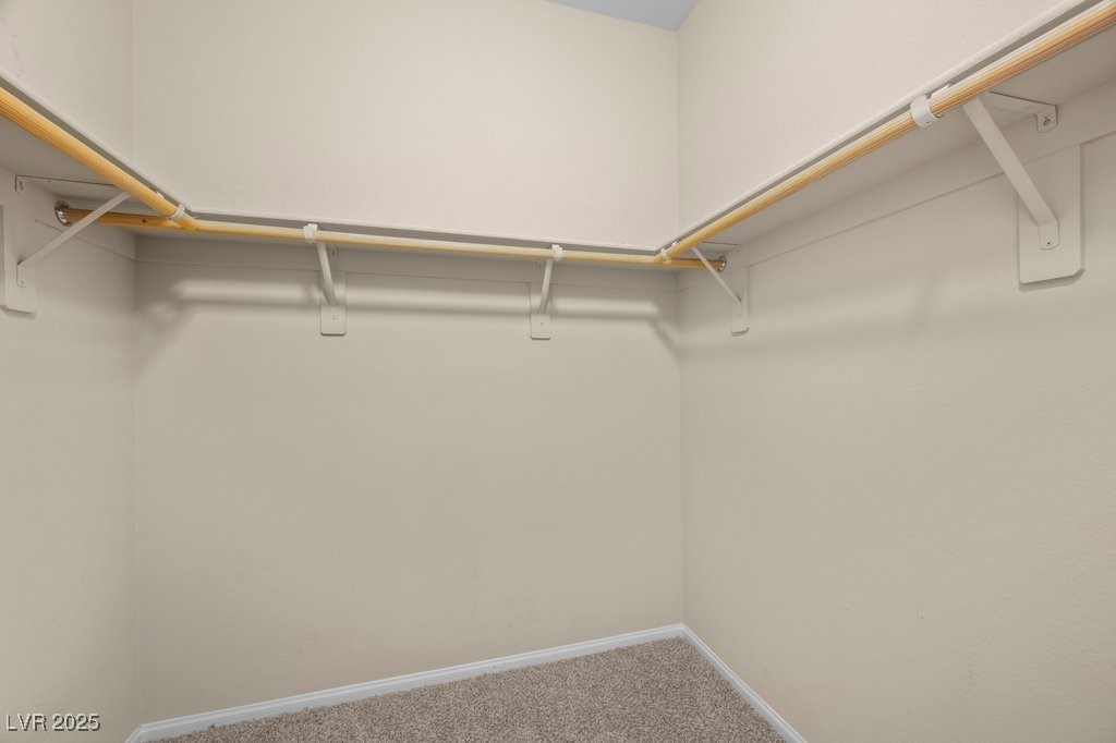 9127 Island Wolf Avenue Property Photo 29