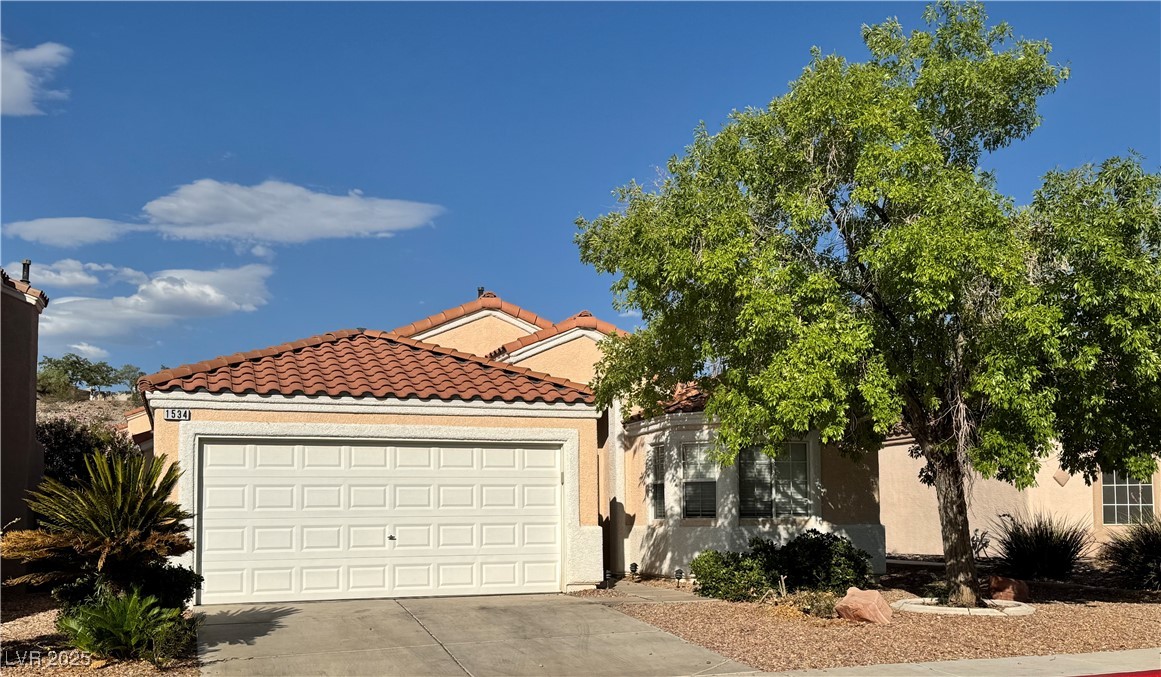 1534 Silver Sunset Drive Property Photo 1
