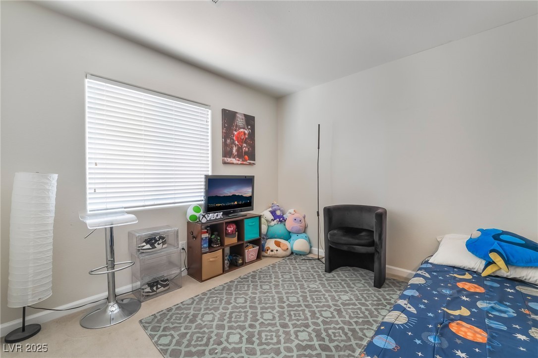 11140 African Sunset Street Property Photo 24