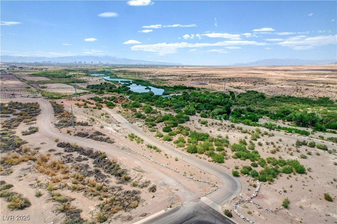 1104 Cactus Rock Street Property Photo 82