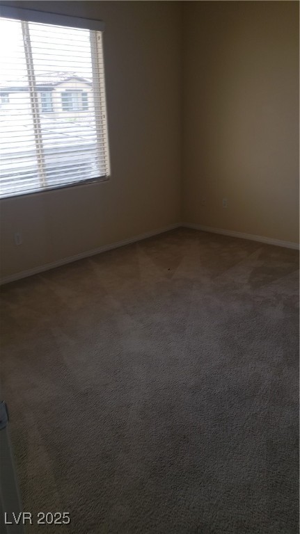 7711 Windy Meadow Avenue Property Photo 23