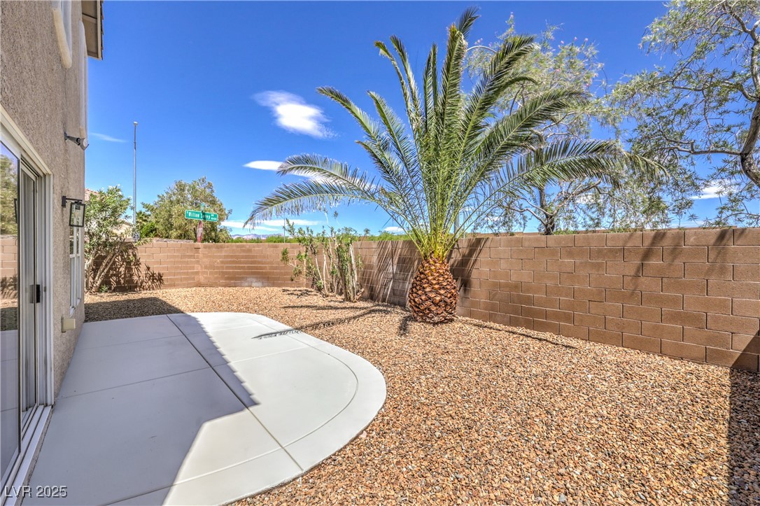 6356 Cactus Dahlia Street Property Photo 30