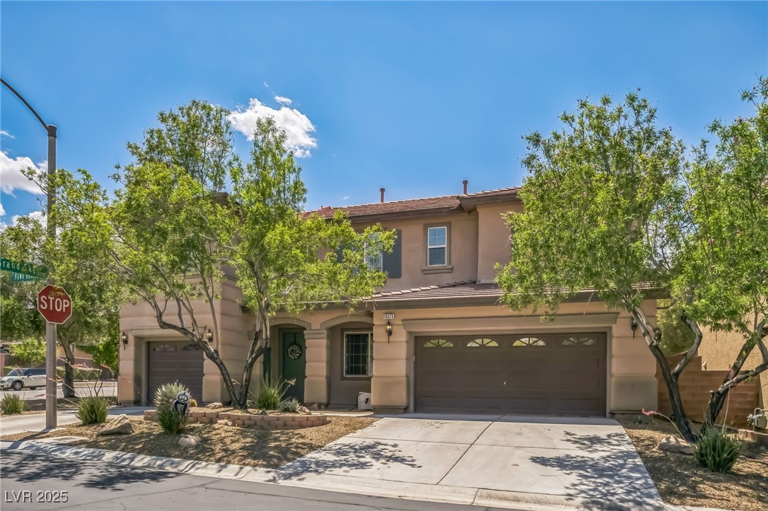 10373 Hawk Ravine Street Property Photo 1