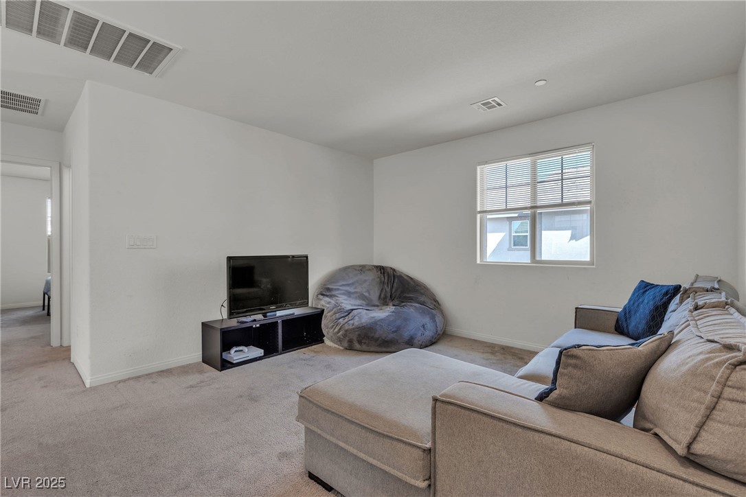 719 Cottonwood Hill Place Property Photo 15