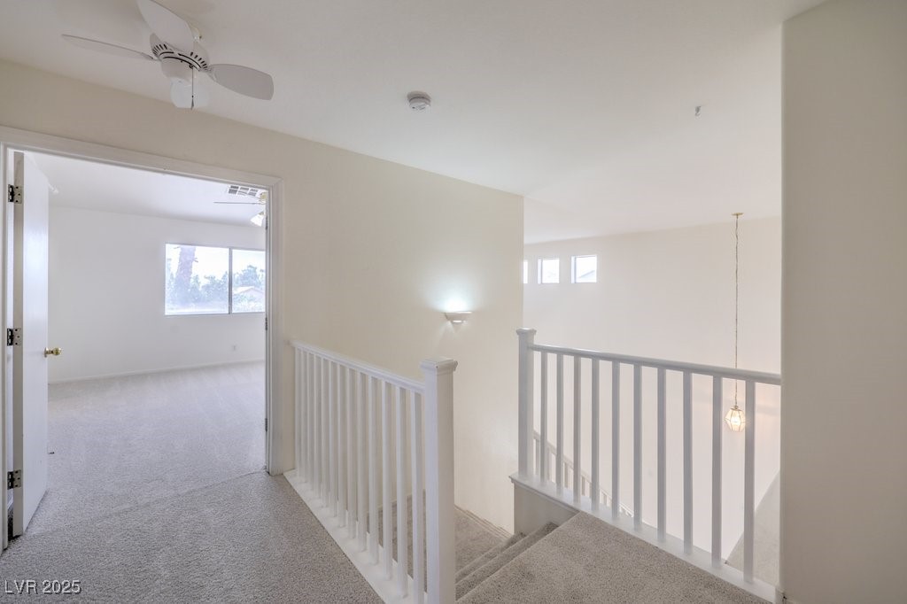 5209 Mantua Court Property Photo 24