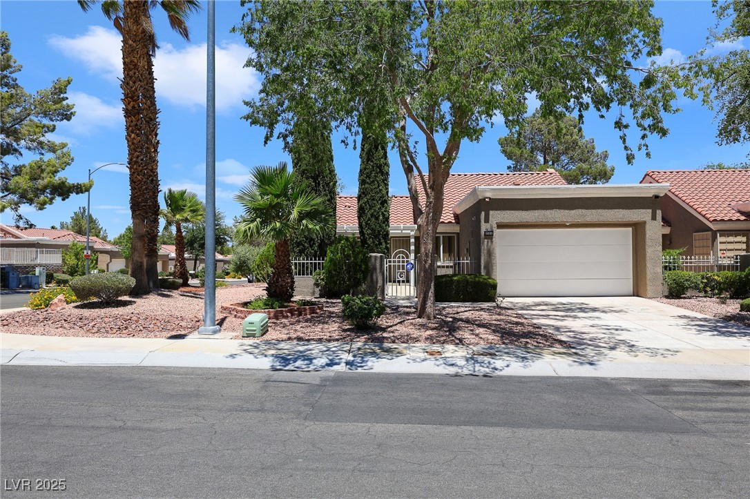 8560 Desert Holly Drive Property Photo 1