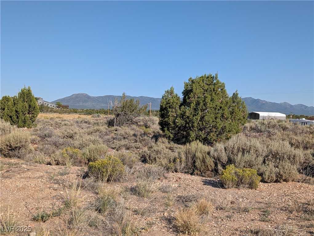 Bartolo (1 Ac)-apn 001-240-46 Property Photo 2