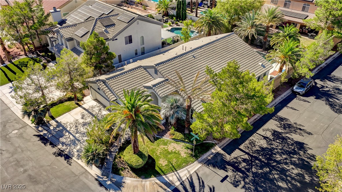 9096 Heavenly Valley Avenue Property Photo 42