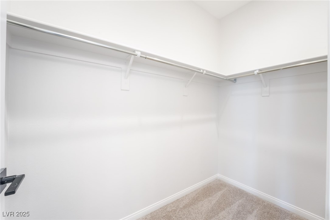 1790 Flycatch Street Property Photo 23