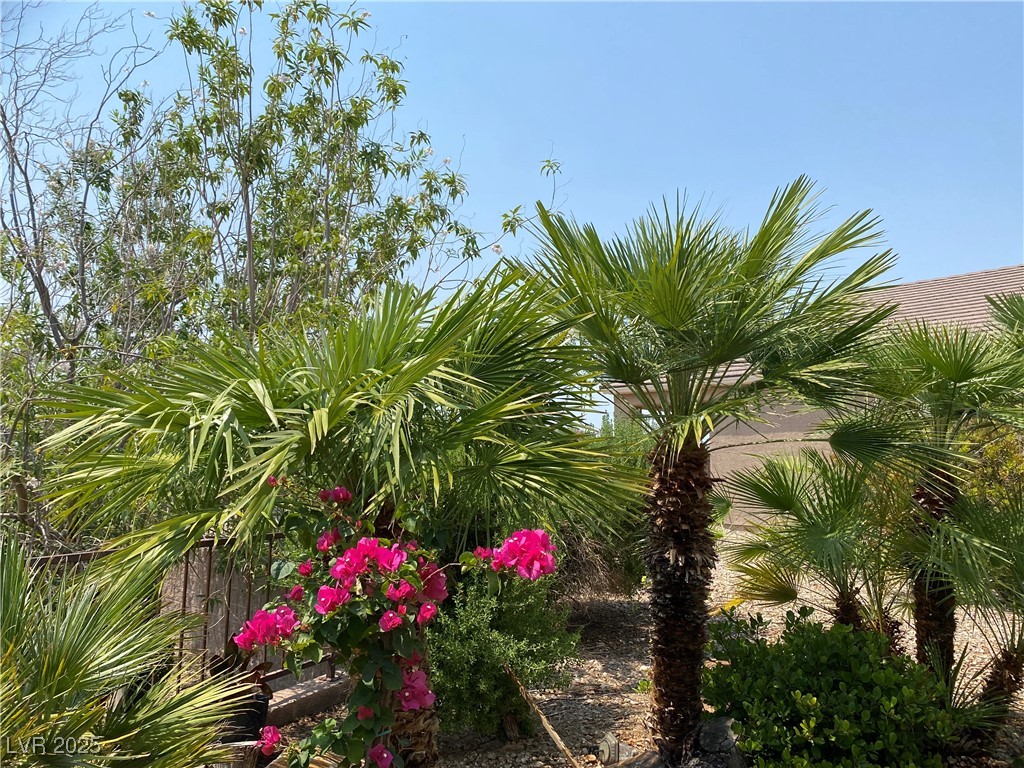 2345 Minolta Court Property Photo 15