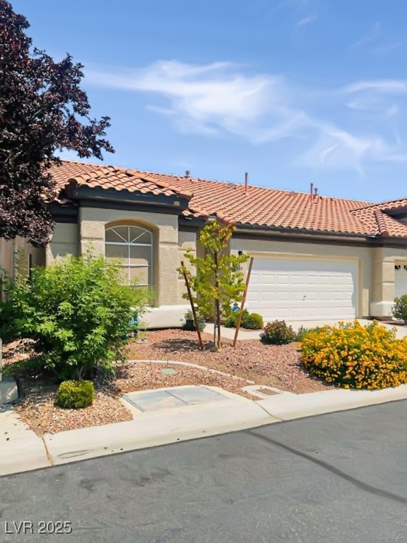5048 Orchid Springs Street