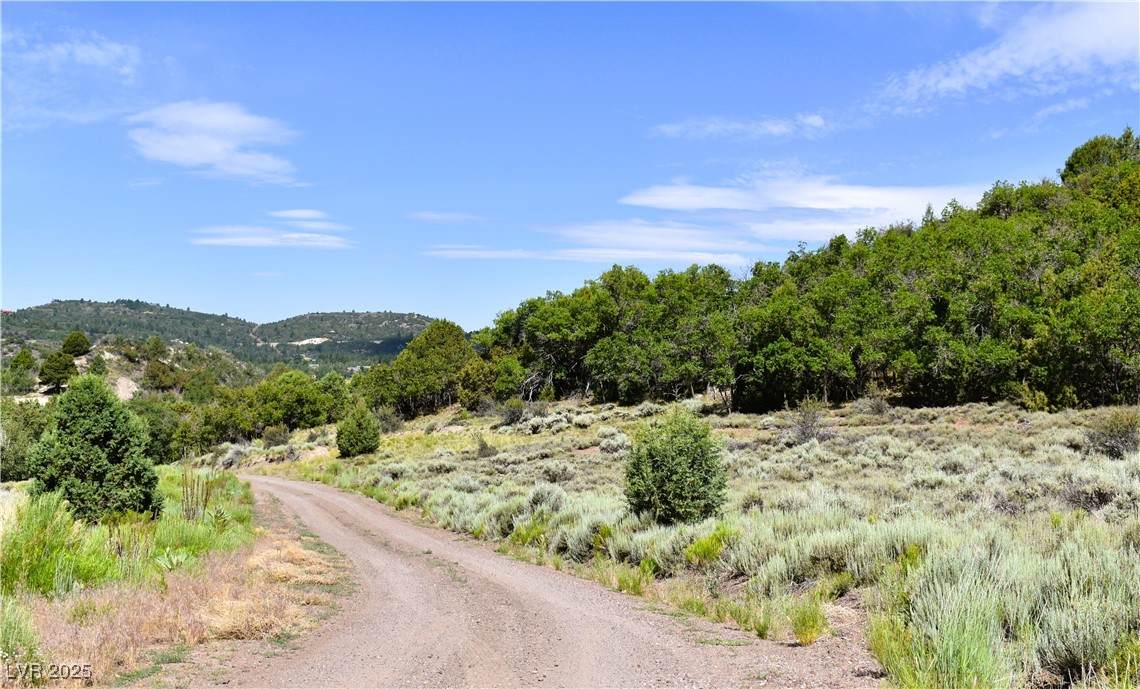 Parcel 2, Fox Trail, Oak Hill Estates Property Photo 6