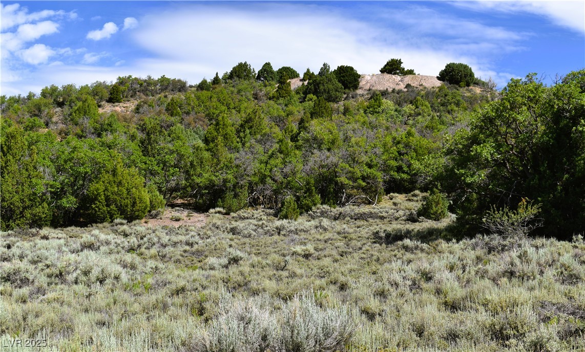 Parcel 2, Fox Trail, Oak Hill Estates Property Photo 8