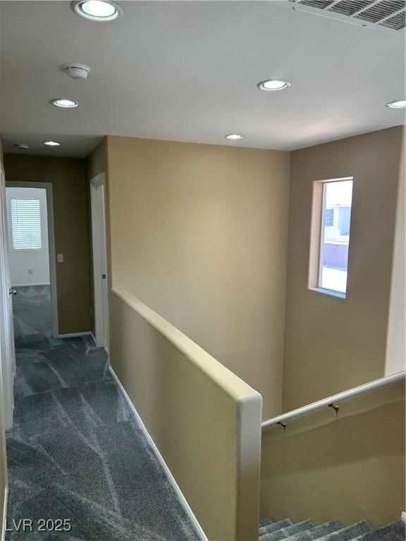 10245 Missouri Meadows Street Property Photo 10