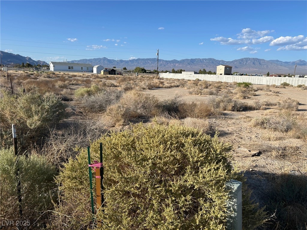 4320 Jasmine Street Property Photo 3