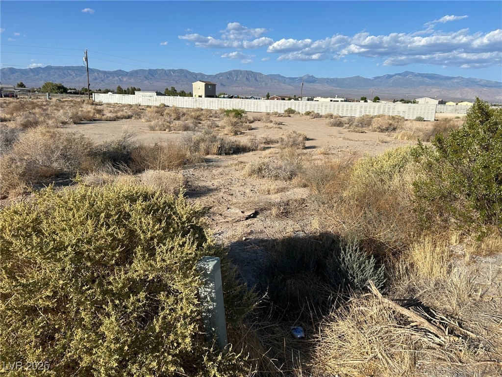 4320 Jasmine Street Property Photo 4