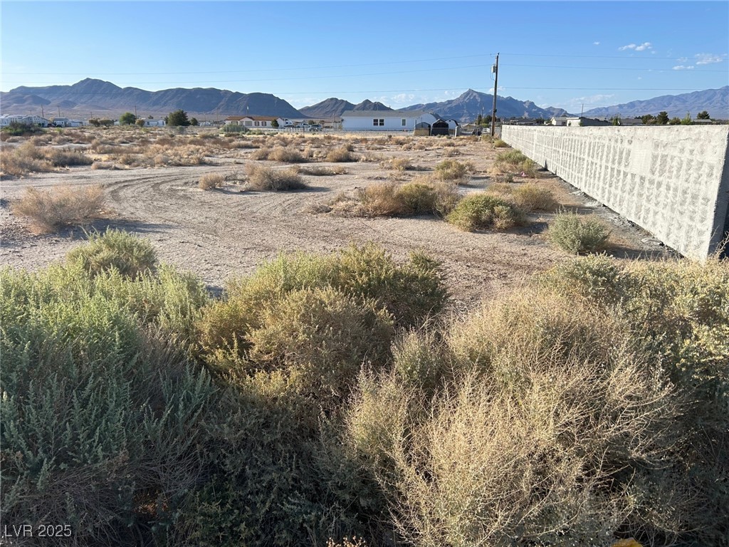 4320 Jasmine Street Property Photo 6