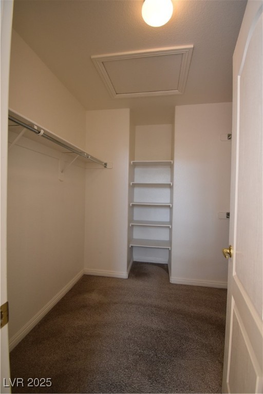 2078 Scanlon Ferry Court 103 Property Photo 19