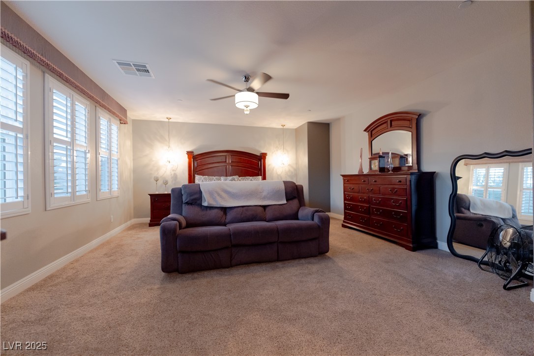 10047 Magical View Street Property Photo 11