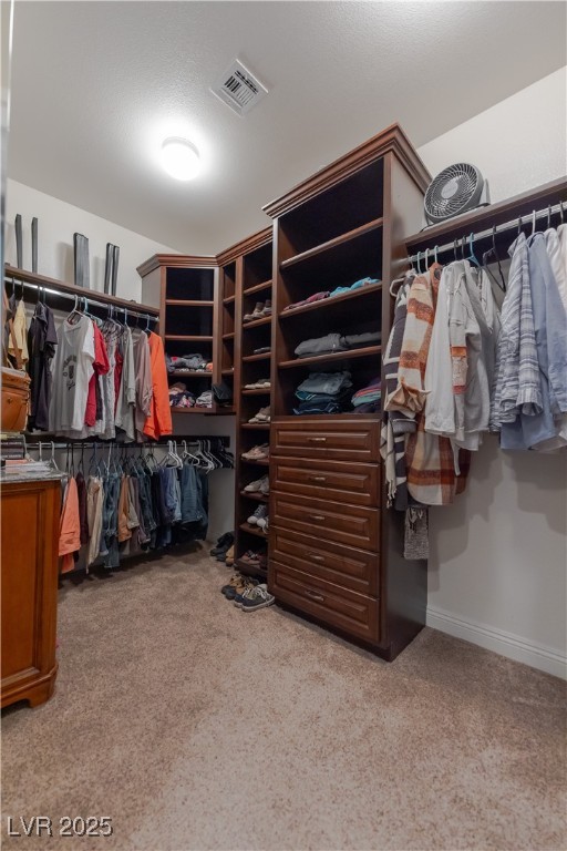 10047 Magical View Street Property Photo 62