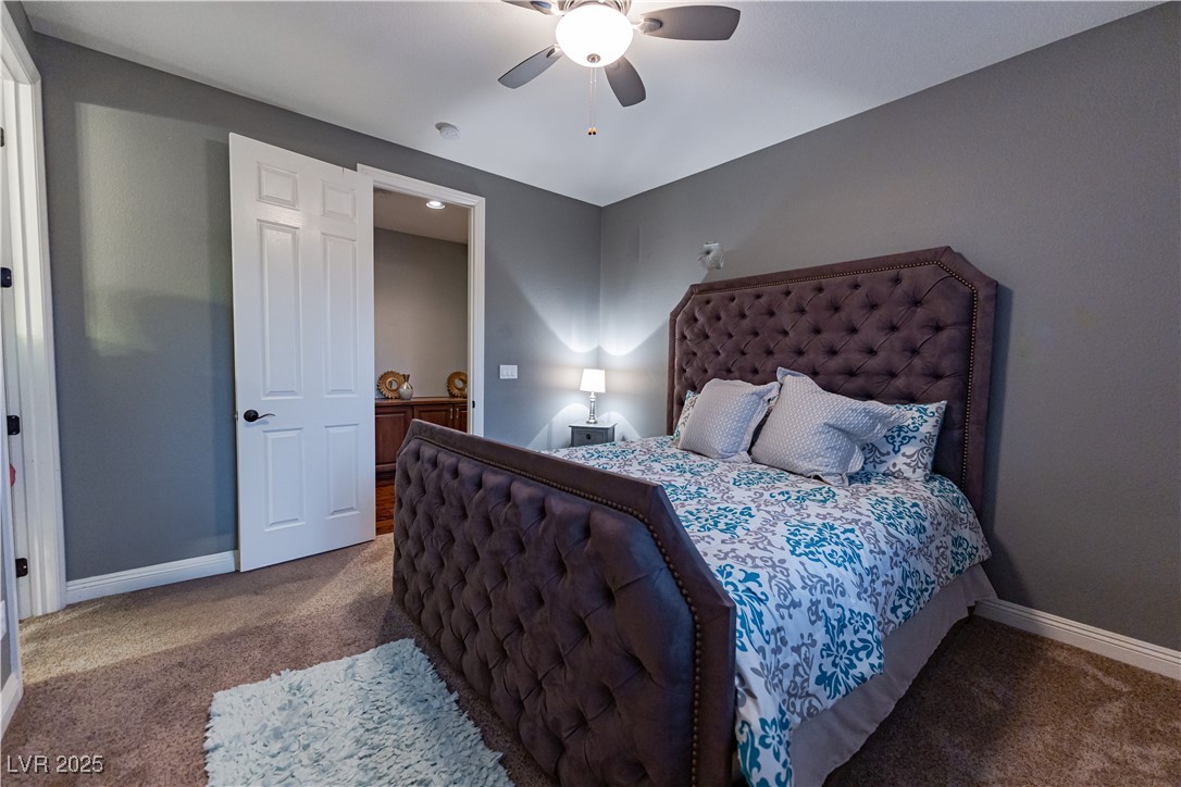 10047 Magical View Street Property Photo 66